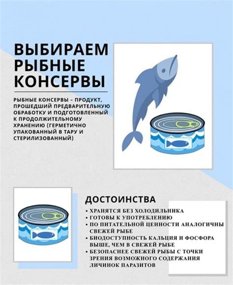 Рекомендации по выбору качественных инструментов и материалов