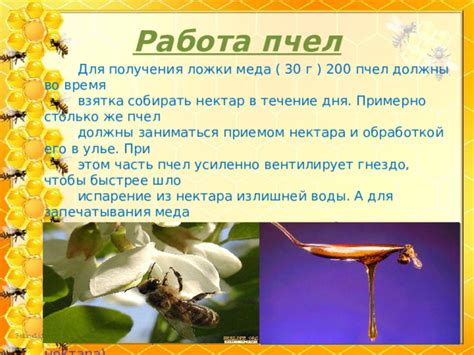 Рекомендации по приготовлению и применению питательного продукта из нектара и пыльцы для пчел