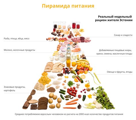 Рекомендуемые продукты и блюда для включения в рацион после завершения периода осуществления кетогенной диеты