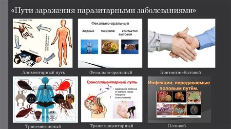 Риск заражения паразитарными заболеваниями при употреблении муки, содержащей насекомых