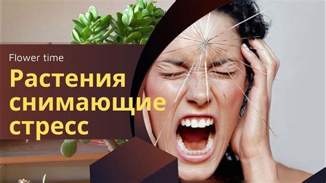 Ритмы, расслабляющие и снимающие стресс