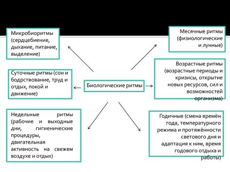 Ритмы яцзюнь: какова их роль и влияние на нас?
