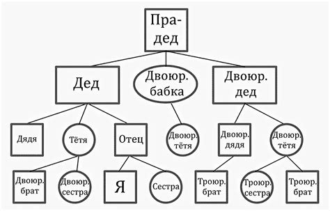 Родословная фамилии Устинова: корни и эволюция
