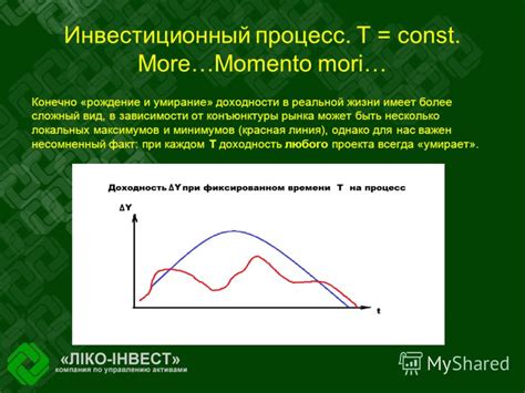 Роль анализа локальных максимумов и минимумов в различных сферах физического познания