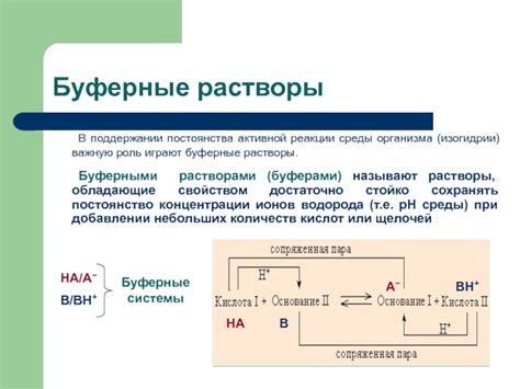 Роль ацетатного буфера в поддержании pH организма