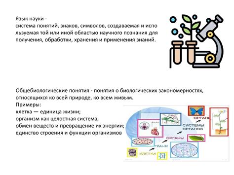 Роль биологических знаний в процессе поступления на факультет диетологии и их успешная подготовка