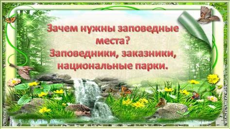 Роль биоразнообразия в сохранении ценных природных угодий для последующих поколений