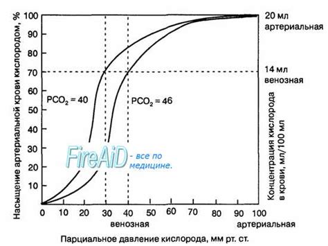 Роль гемоглобина в транспортировке кислорода и его отношение к содержанию кислорода в крови