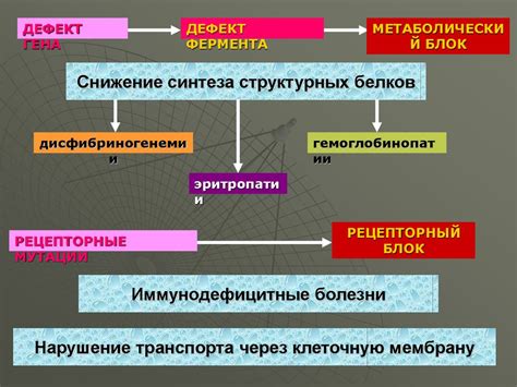 Роль генетики и наследственности в возникновении характеристик внешности