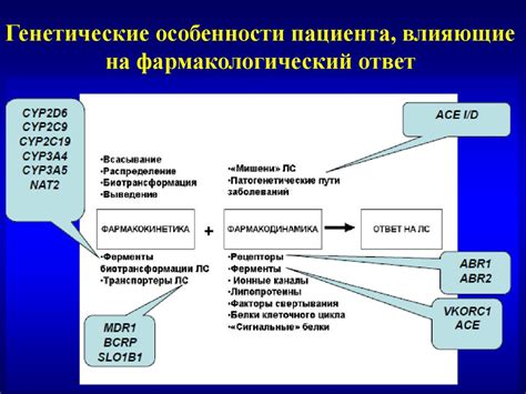 Роль генетических факторов в формировании уровня альфа-липопротеина