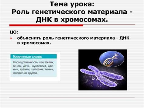 Роль генетического материала в формировании эмоций и принятии решений