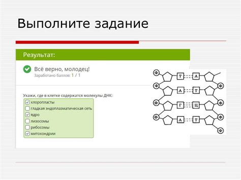 Роль генетического скрещивания в создании новых сортов деревьев