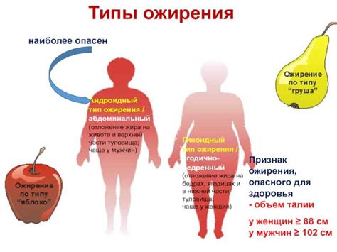 Роль гормонов в образовании жировых отложений на животе