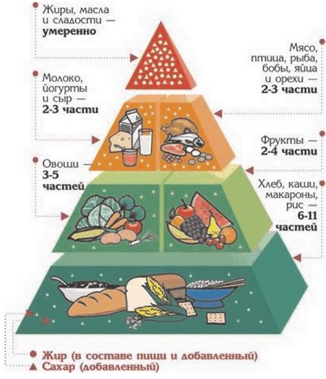 Роль здорового питания и активного образа жизни в сохранении молодости и энергии