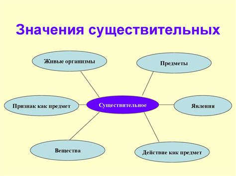 Роль и значения существительных в формировании сложной сети значений