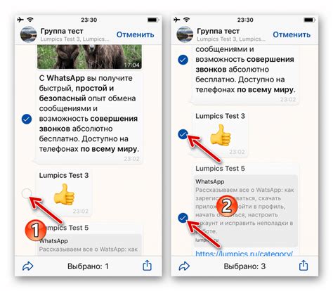 Роль и смысл маркировки сообщений в мессенджере WhatsApp