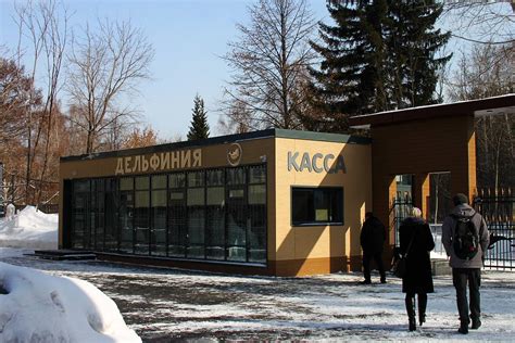 Роль кассы зоопарка в организации посещений