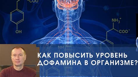 Роль медитации в поддержании баланса дофамина в организме