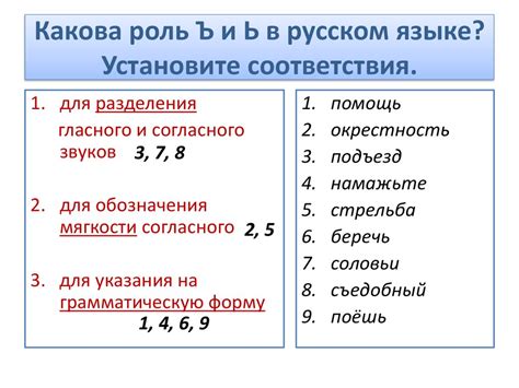 Роль мягкого и твёрдого знаков в русском языке