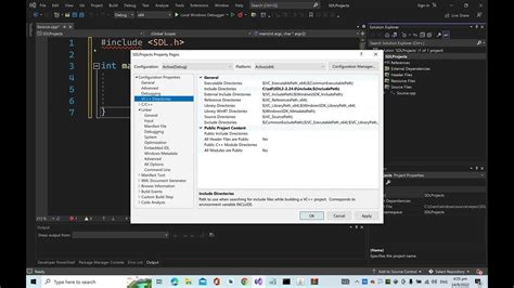 Роль пакета SDL в среде разработки Visual Studio: основное понимание