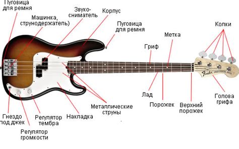 Роль пальцев и медиатора в формировании характерного звучания бас гитары