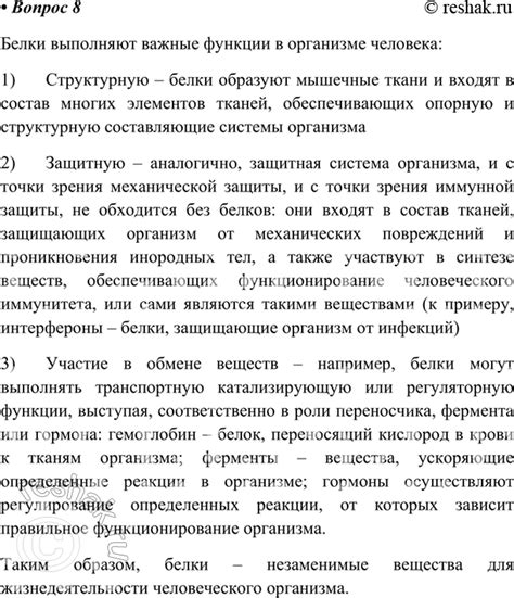 Роль параграфа в общении: ключевые аспекты