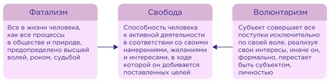 Роль пая в жизни человека и необходимость его изучения