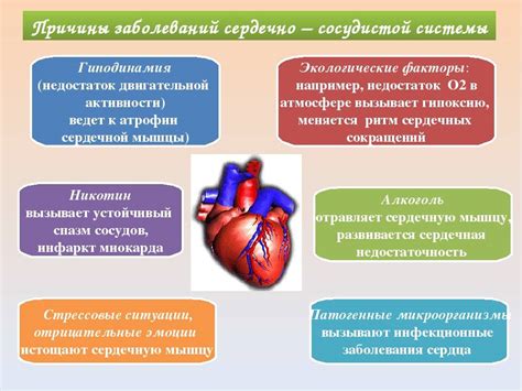 Роль питания в обеспечении работоспособности сердца