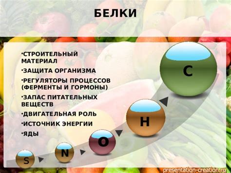 Роль питательных веществ в функционировании организма человека