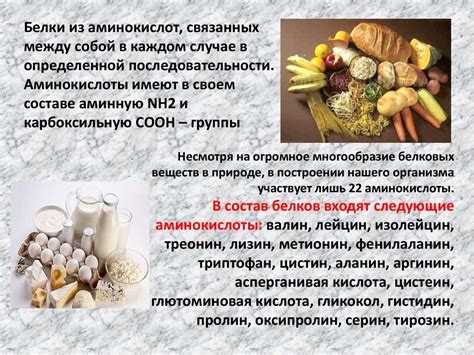 Роль пищевых продуктов в возникновении отрыжки