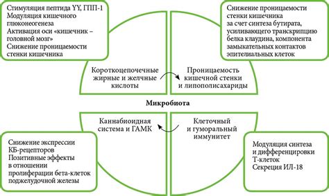 Роль пороговых значений микроорганизмов в оценке состояния транзиторной микробиоты