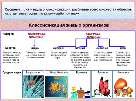 Роль семейств в систематике: ключевой элемент классификации живых организмов