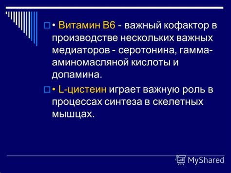 Роль сна в регуляции уровня гамма-аминомасляной кислоты