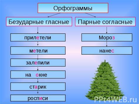 Роль существительных в определении смысла и контекста предложения