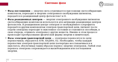 Роль транспортной системы содержания важных веществ в процессе изготовления