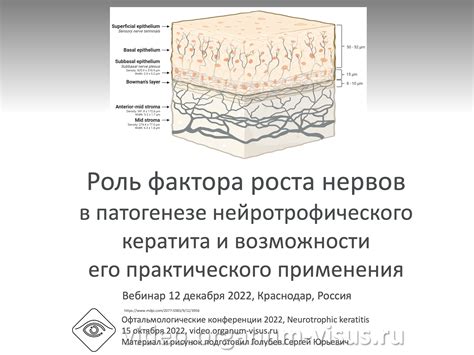 Роль фактора роста эпителия в способствовании заживления повреждений кожи у пациентов со сахарным диабетом