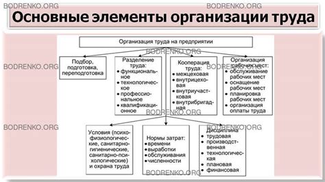 Роль функции научной организации труда в современном обществе