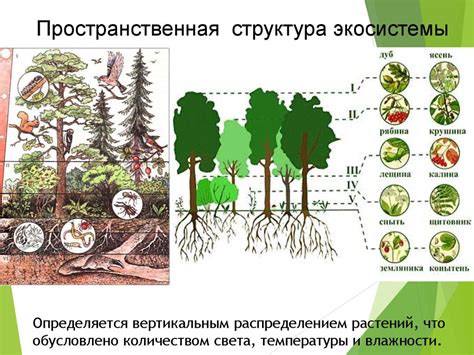 Роль экологической работы в образовательной программе для маленьких исследователей