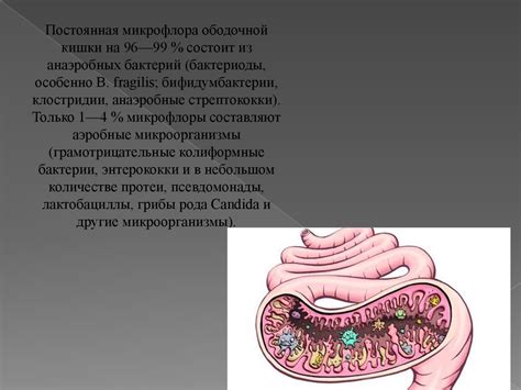 Роль этих позвонков в поддержании здоровья организма человека