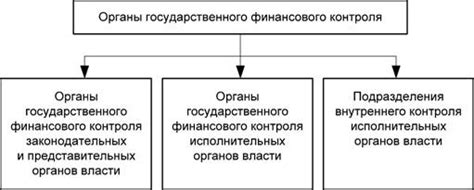 Российский орган финансового контроля - бюрократическое препятствие