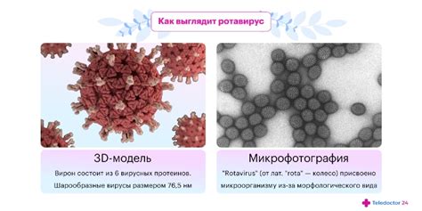 Ротавирус: характерные признаки и факторы его возникновения