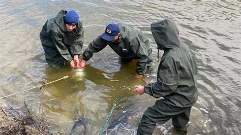 Сбор и устранение последствий воды