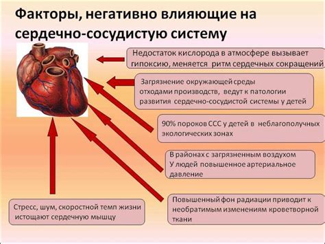 Связь между ритмом сердечного пульса и заболеваниями сердечно-сосудистой системы