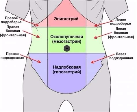 Связь между эмоциональным напряжением и скоплением жира в области брюшной полости