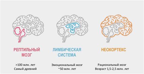 Связь сновидений с реальностью: квартира и наш образ существования