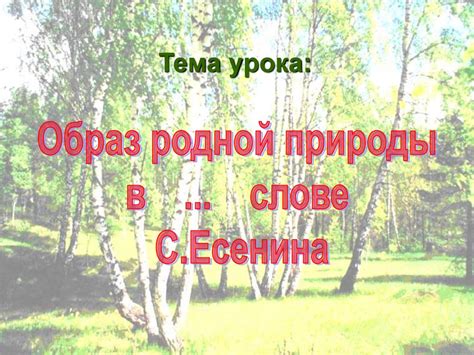 Северные мотивы в лирике: уникальное влияние таинственной природы на поэзию Сергея Есенина