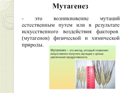 Секретные способы усиления воздействия мутагенов: неожиданные рецепты и инновационные формулы