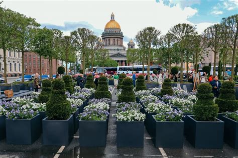 Секреты поддержания влажности в горшках на открытом воздухе в течение жаркого сезона