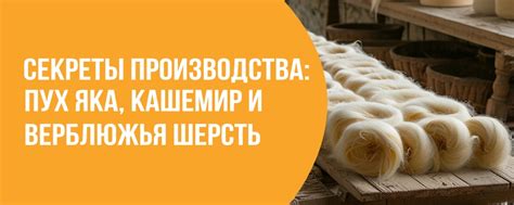 Секреты сохранения качества и мягкости шерсти