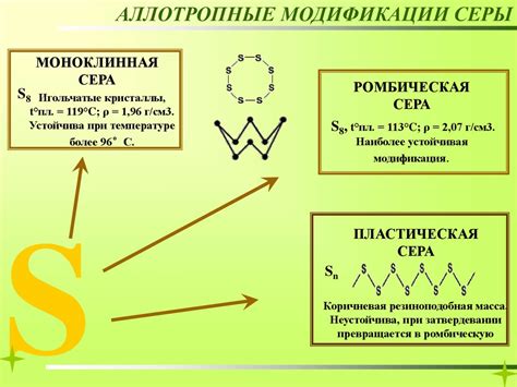 Сера и ее вклад в защиту организма от бактерий